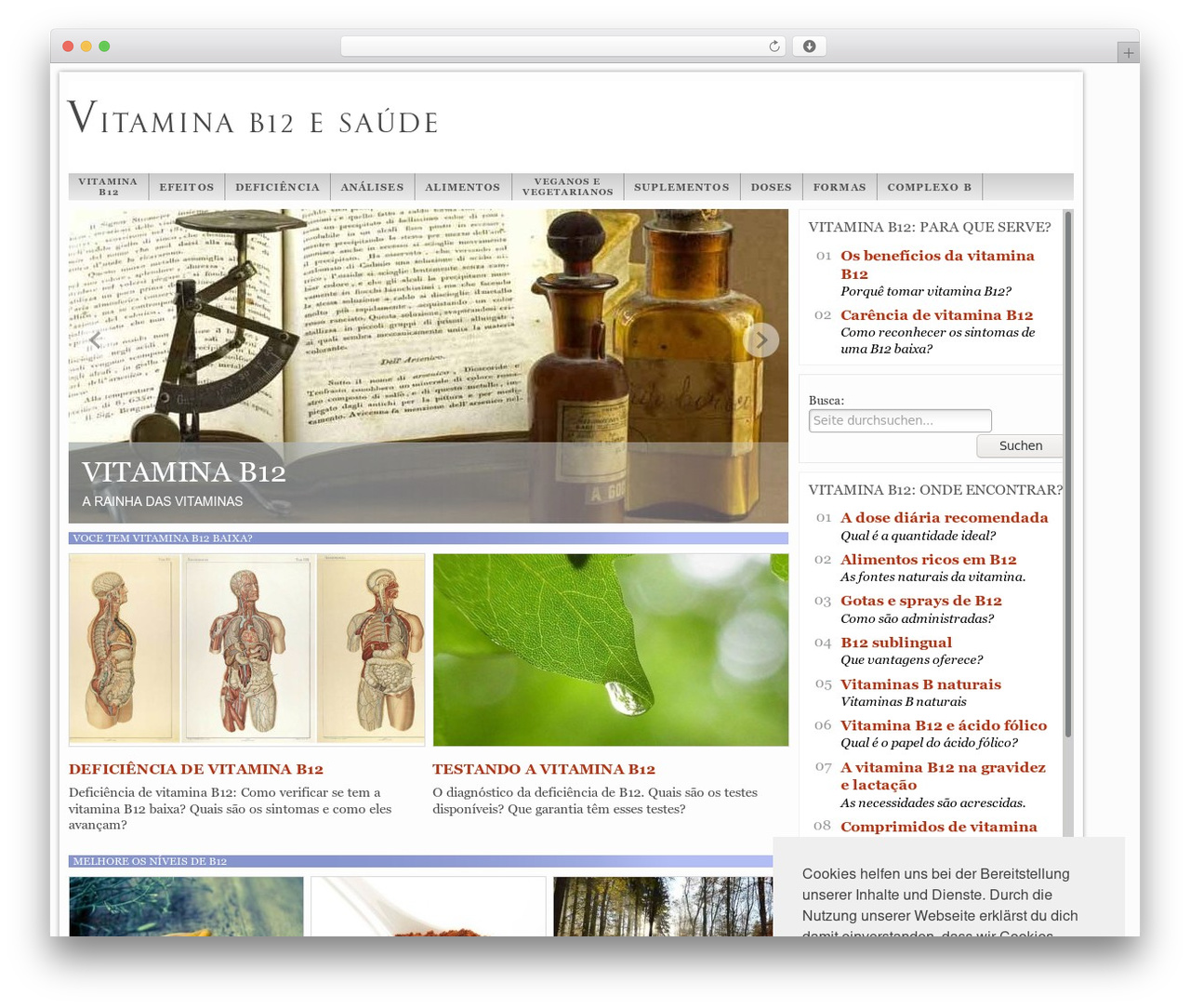 Network-Theme theme WordPress - vitamina-b12.net