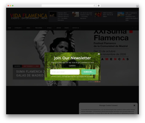Solidus Theme theme WordPress - vidaflamenca.org
