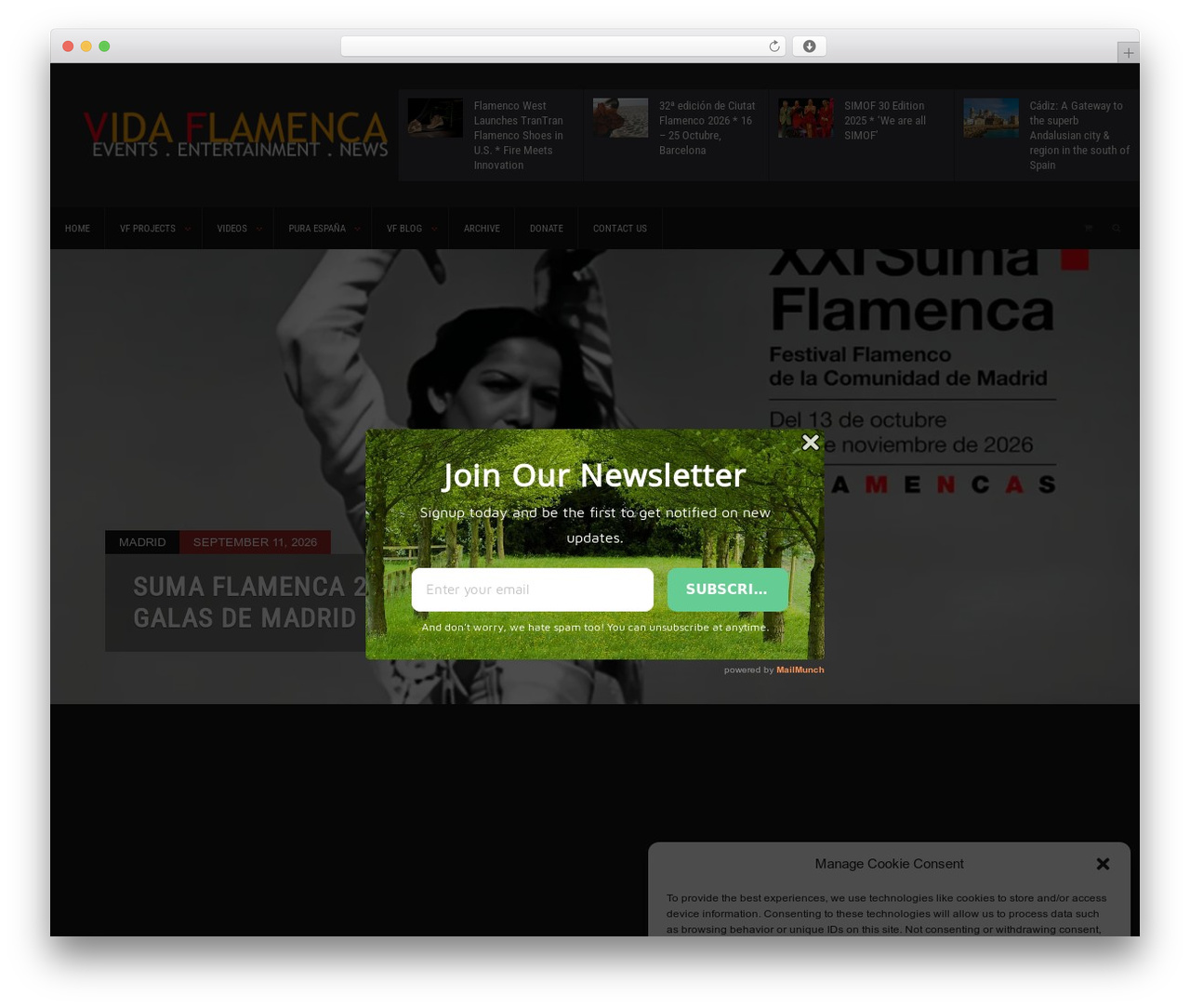 Solidus Theme theme WordPress - vidaflamenca.org Solidus Theme theme WordPress - vidaflamenca.org