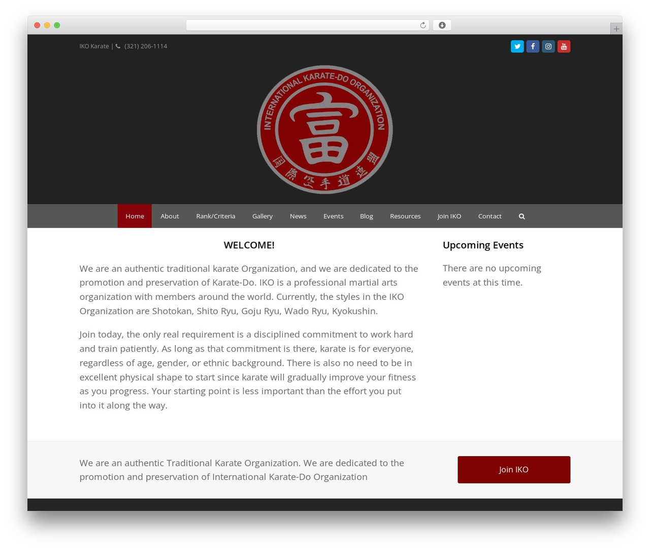 Total Child 02 WordPress theme - ikokarate.org