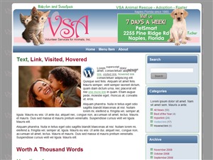 vsa11 WordPress theme