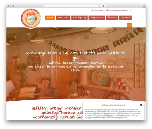 WordPress theme Divi - gaavwijhe.nl