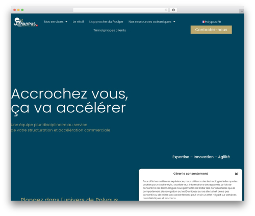 WordPress theme Hello Elementor - polypus.ch