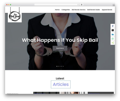Digr post grid WordPress plugin - thebailbondsguide.com