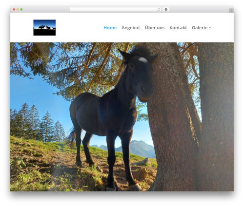 Robin image optimizer — save money on image compression (robin-image-optimizer) free WordPress plugin - alpludena.ch