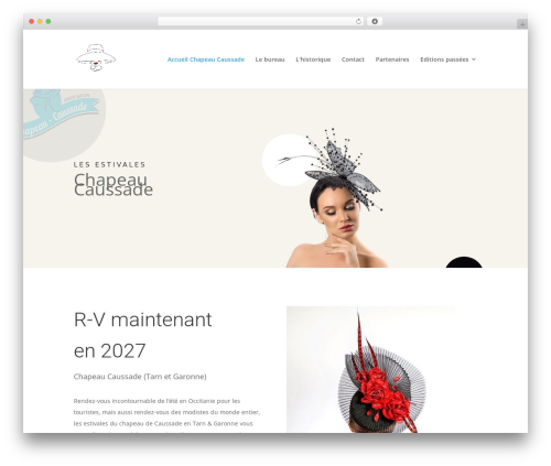 Web stat WordPress plugin - chapeau-caussade.fashion