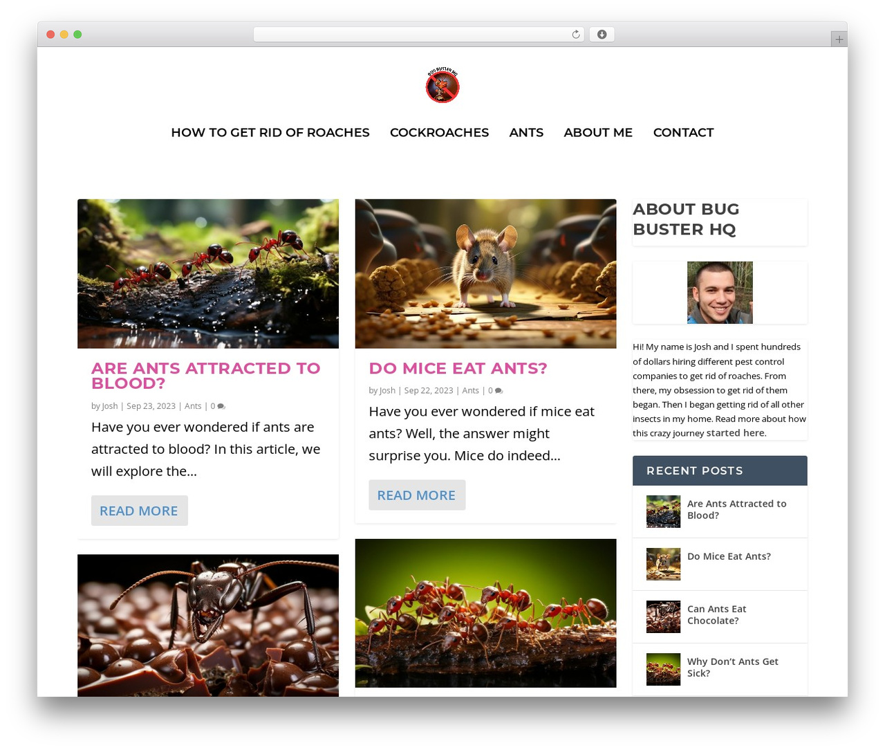 Extra WordPress theme - bugbusterhq.com Extra WordPress theme - bugbusterhq.com