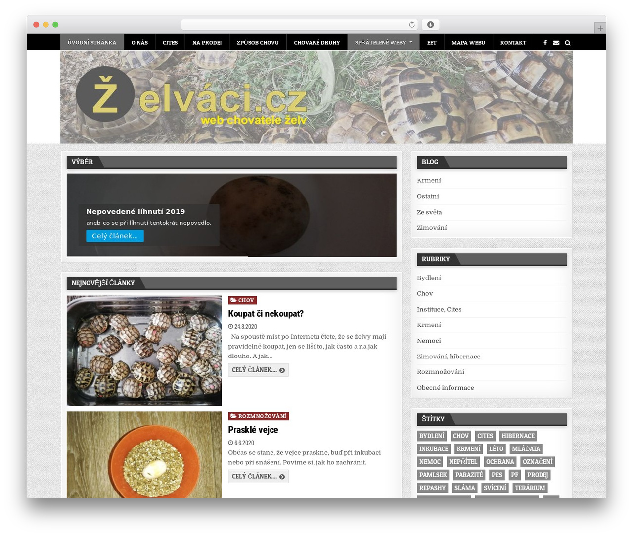 FlashWP theme WordPress - zelvaci.cz FlashWP theme WordPress - zelvaci.cz