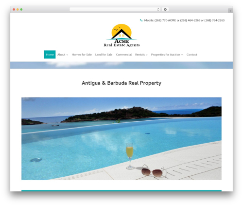 Easy Listings Map (easy-listings-map) free WordPress plugin - acme-realestate.com