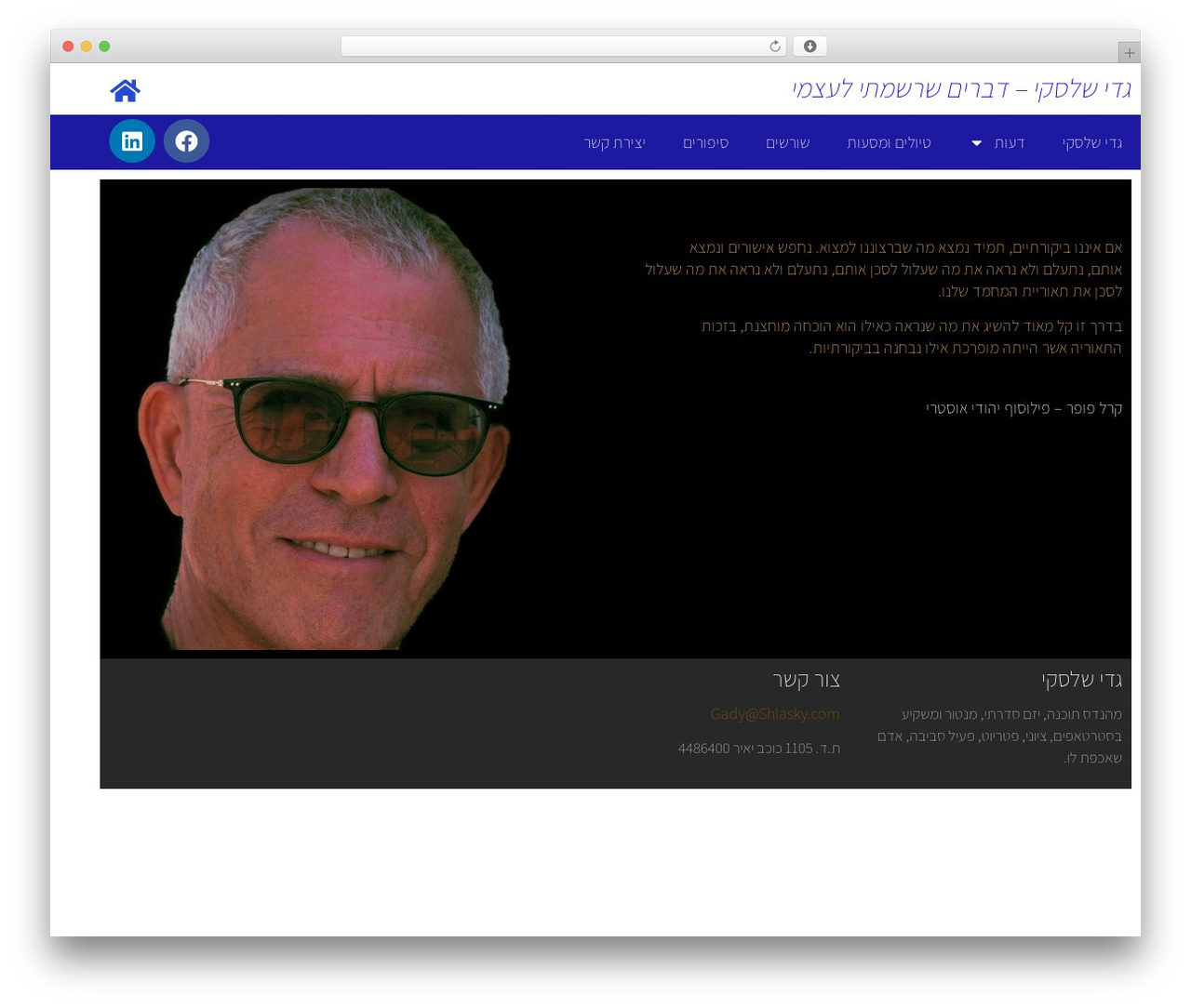 Theme WordPress Hello Elementor - shlasky.com