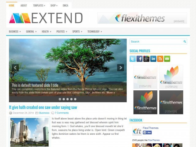 WordPress theme Extend WordPress theme Extend
