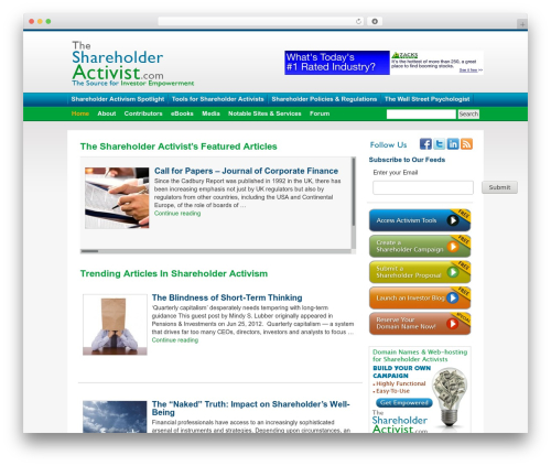 Google mp3 audio player WordPress plugin - theshareholderactivist.com