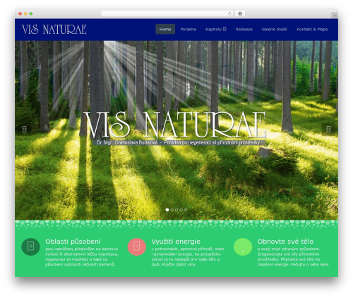 Flat Theme WordPress theme - vis-naturae.com/?password-protected=login&redirect_to=vis-naturae.com Flat Theme WordPress theme - vis-naturae.com/?password-protected=login&redirect_to=vis-naturae.com