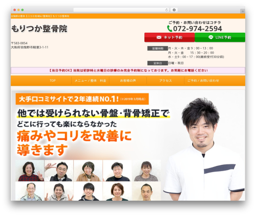 Selfull WordPress theme - moritsukaseikotsuin.com