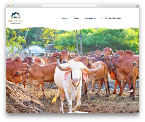 Foodano WordPress theme design - swarnika.co