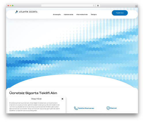 Telephone field for elementor forms WordPress plugin - atlantiksigorta.com