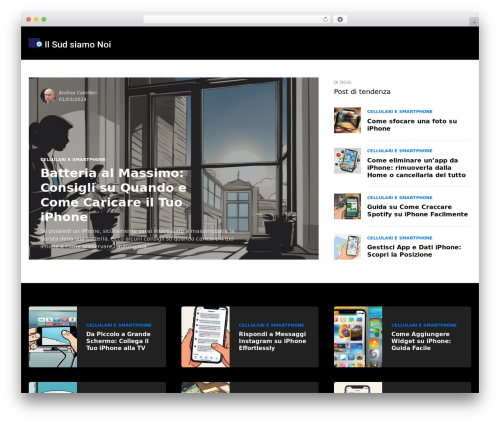 Networker WordPress theme - ilsudsiamonoi.it