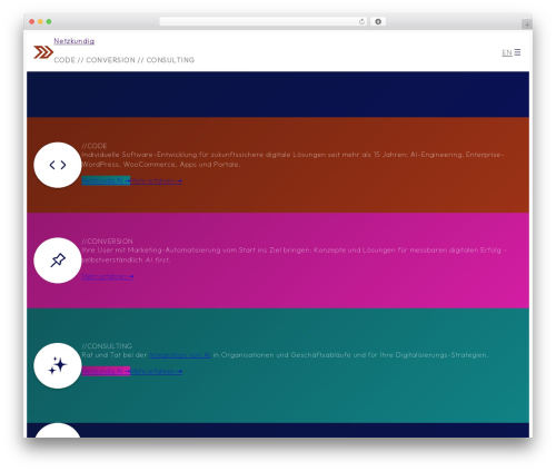 Ai WordPress plugin - netzkundig.com