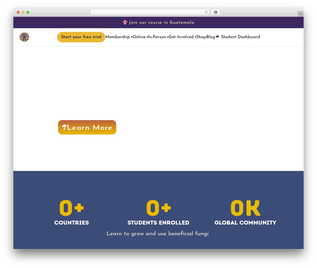 Theme WordPress Hello Elementor - fungiacademy.com Theme WordPress Hello Elementor - fungiacademy.com