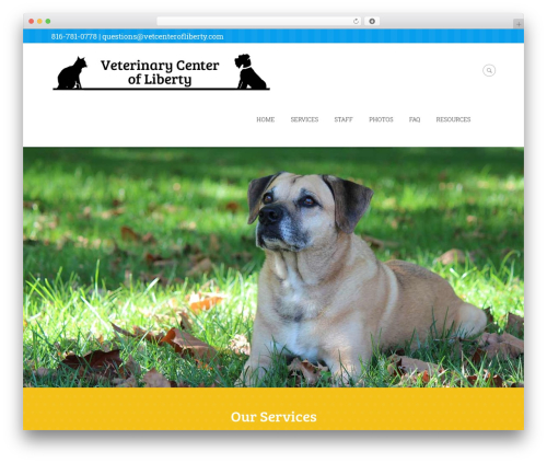 Theme WordPress Kindergarten - vetcenterofliberty.com