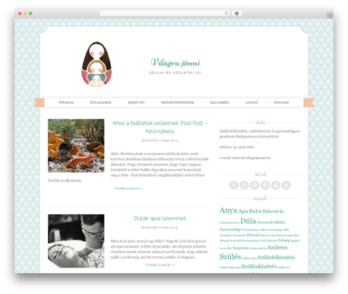 WordPress template Sugar and Spice - vilagrajonni.hu