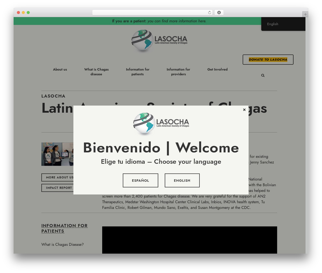 WordPress theme Bridge - lasocha.org WordPress theme Bridge - lasocha.org
