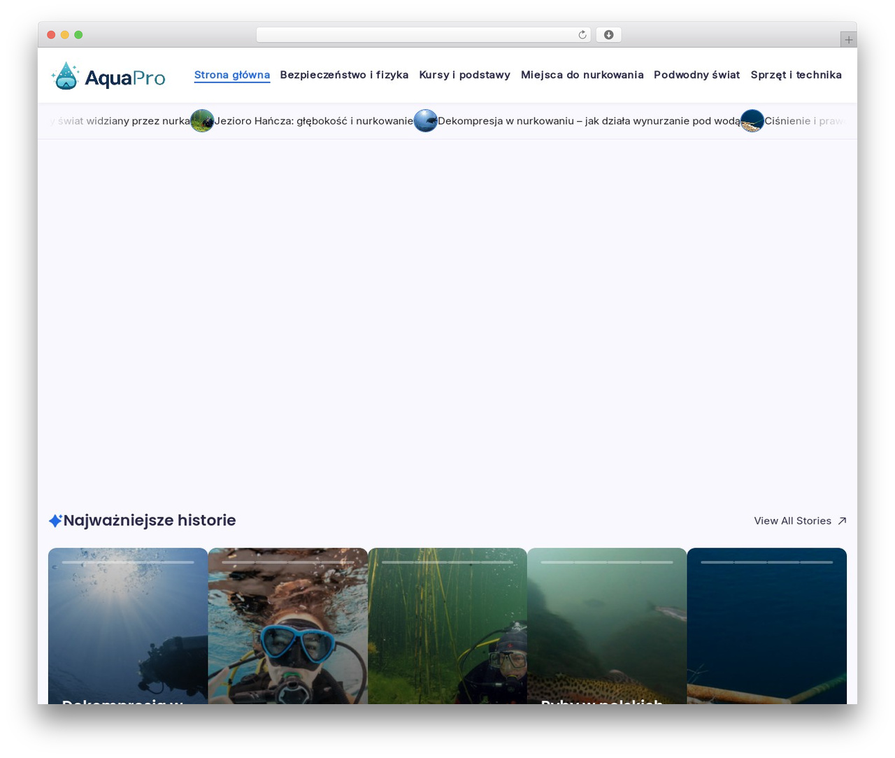 Blogsy WordPress theme - aquarius-pro.pl