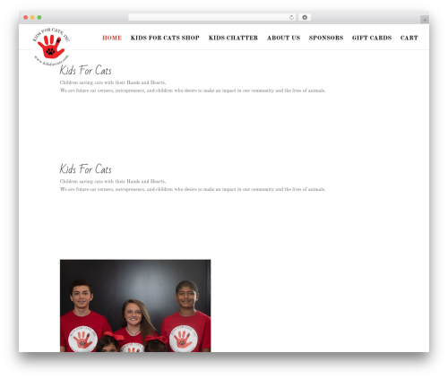 Woocommerce variation master WordPress plugin - kidsforcats.com