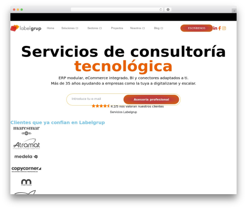 Labelgrup theme WordPress - www.labelgrup.com