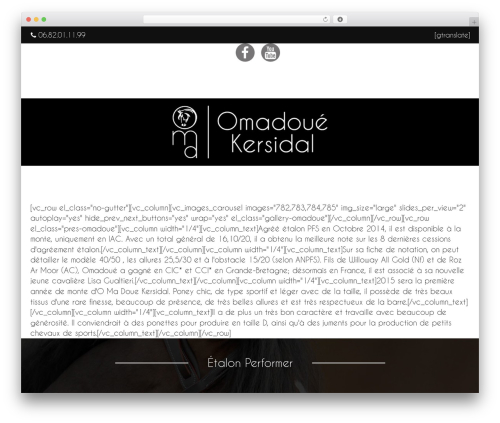 VIKSER WordPress theme - omadoue-kersidal.com