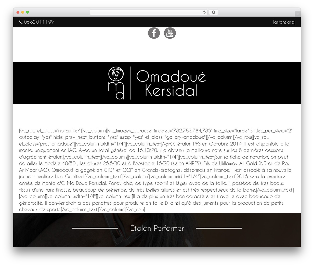 VIKSER WordPress theme - omadoue-kersidal.com