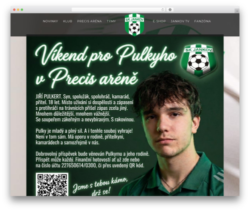 WordPress theme BigSlam - skjankov.cz