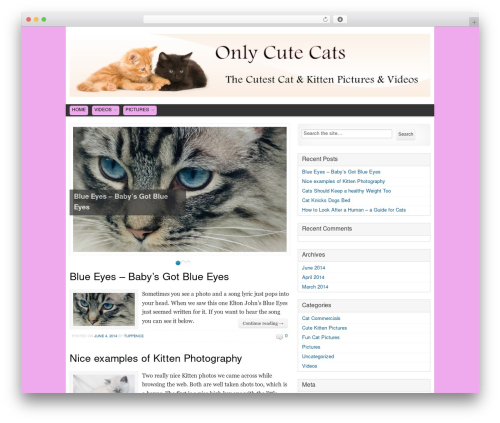 Theme WordPress Swift Basic - onlycutecats.com Theme WordPress Swift Basic - onlycutecats.com