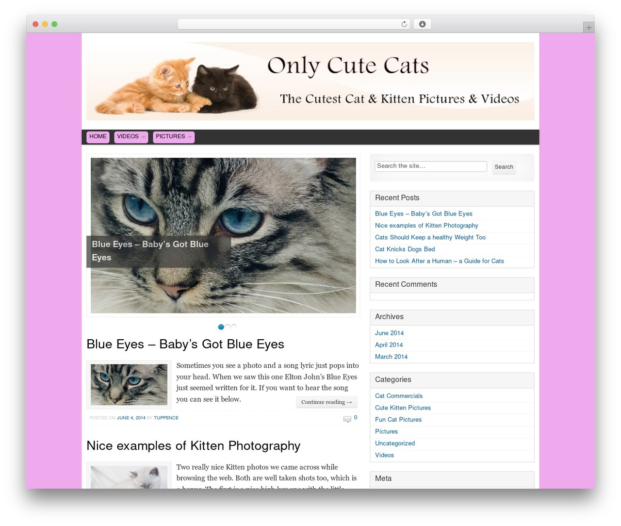 Theme WordPress Swift Basic - onlycutecats.com