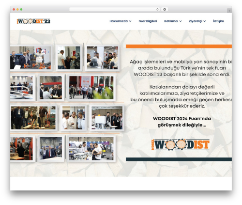 Dustrix WordPress page theme - nobelwoodist.com