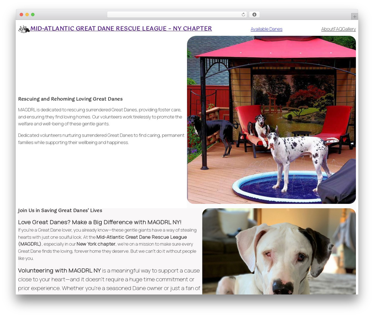 Extendable theme WordPress - nydanerescue.com