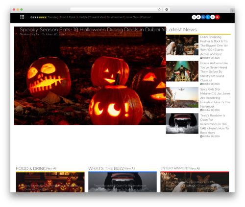 Struninnyoutube_feed WordPress plugin - www.gulfbuzz.com