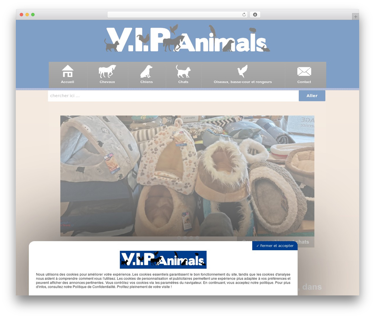 Responsive WordPress theme - vipanimals.fr Responsive WordPress theme - vipanimals.fr