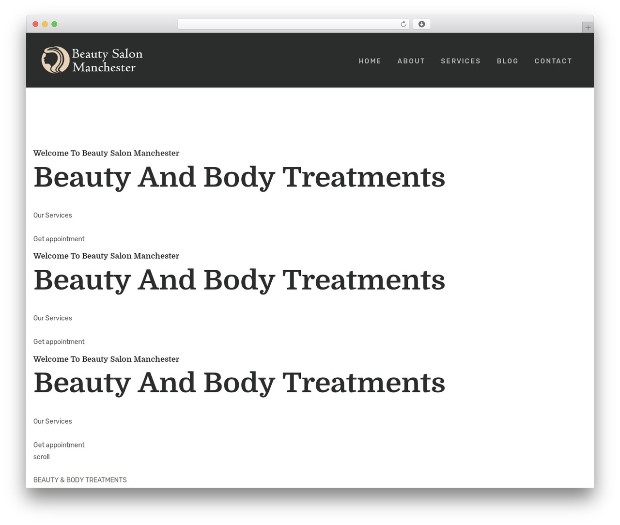 Termico WordPress theme - beautysalonmanchester.co.uk