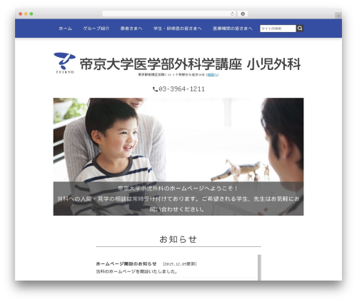 Wevery calendar WordPress plugin - teikyo-shonigeka.com