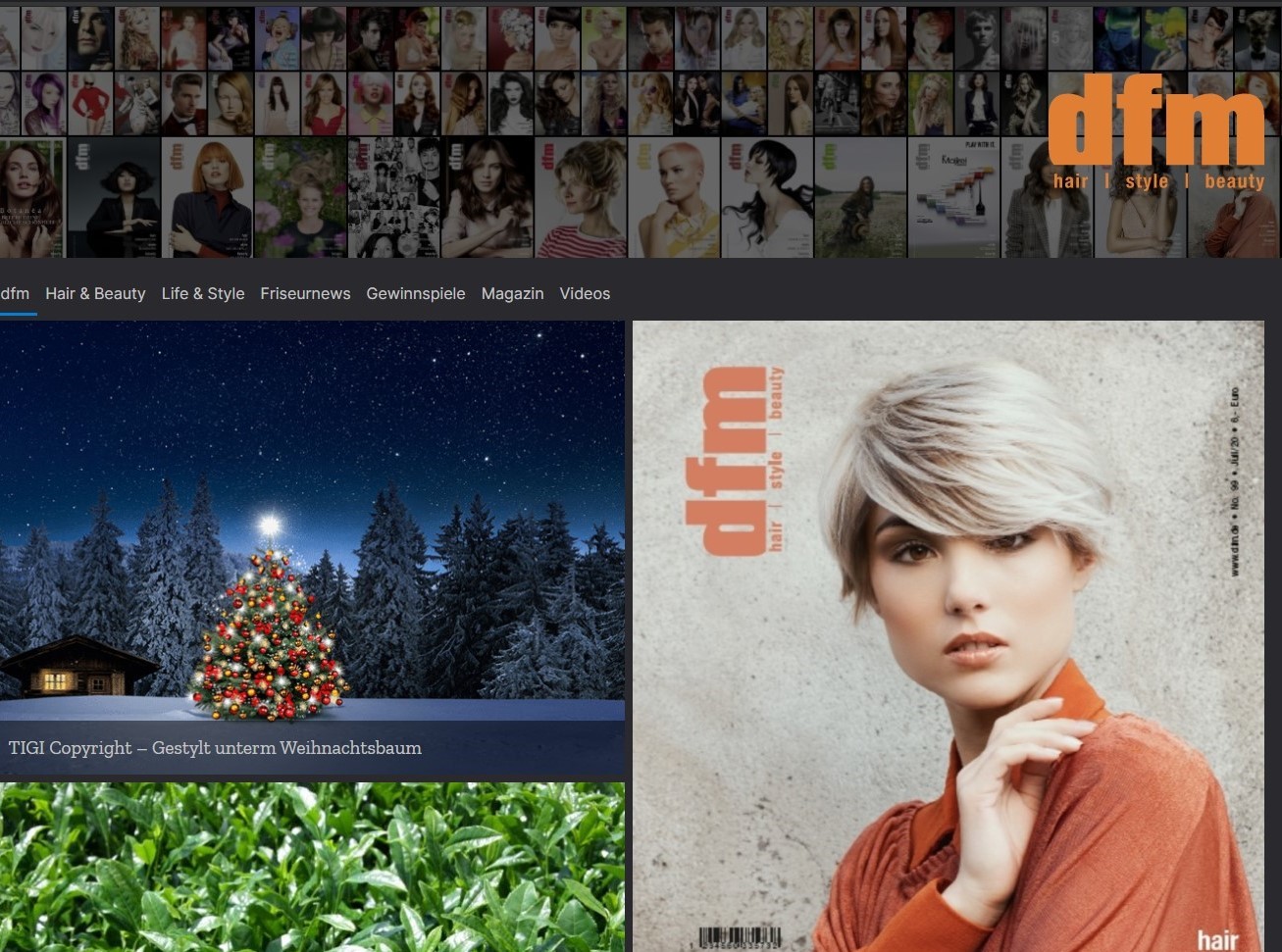 DFM2021 theme WordPress DFM2021 theme WordPress