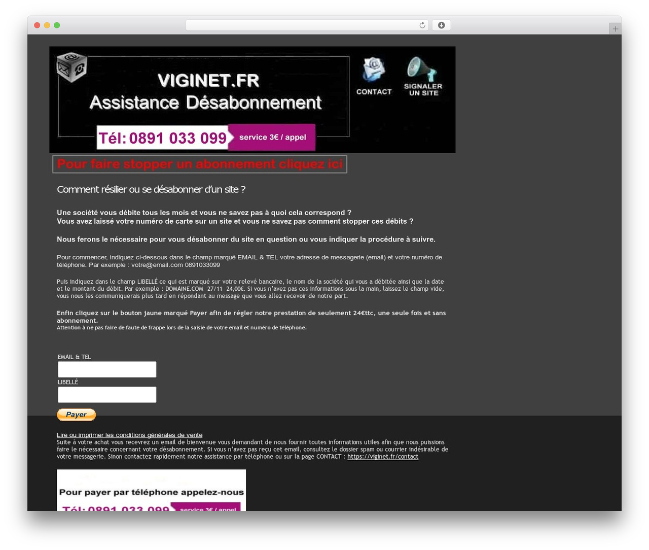 Pixeled WordPress theme - viginet.fr