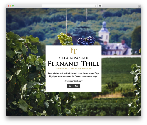 Emage hover effects for elementor WordPress plugin - champagne-thill.com
