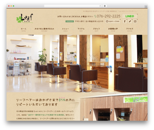 WordPress theme Themify Basic - leafhair.com