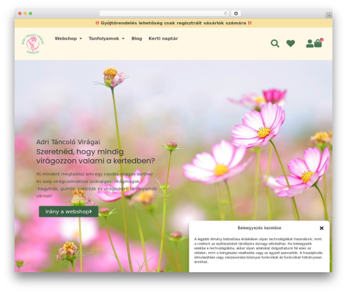 Woocommerce pixel manager WordPress plugin - adritancoloviragai.hu