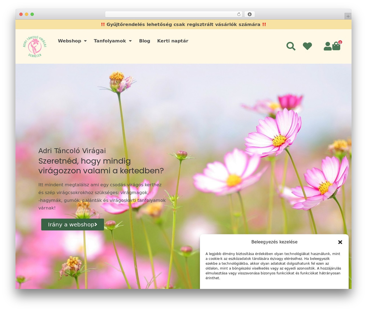 Hello Elementor Child WordPress theme - adritancoloviragai.hu Hello Elementor Child WordPress theme - adritancoloviragai.hu