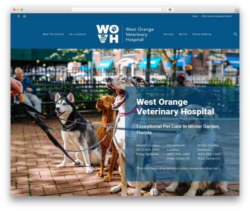 Wp Template Webstersalient By Themenectar Latest