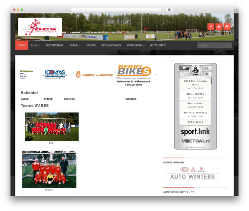 Advanced Advertising System (advanced-advertising-system) free WordPress plugin - vvbes.nl