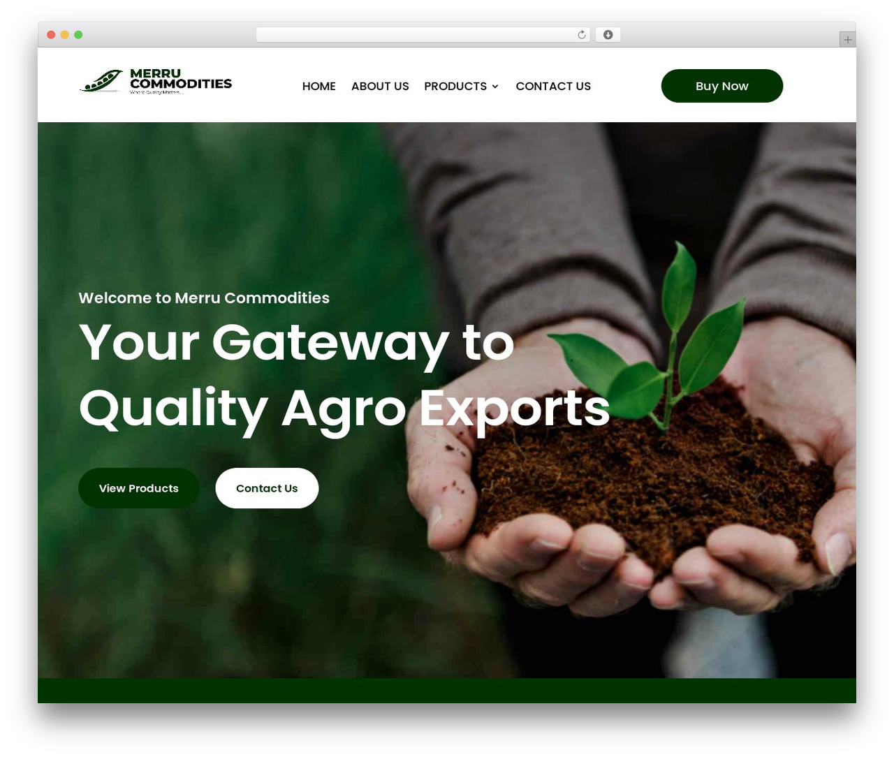 Theme WordPress Divi - merrucommodities.com