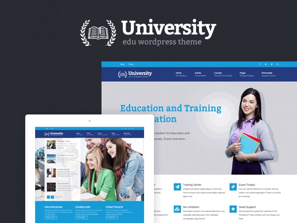 Value Pro WordPress ecommerce theme Value Pro WordPress ecommerce theme